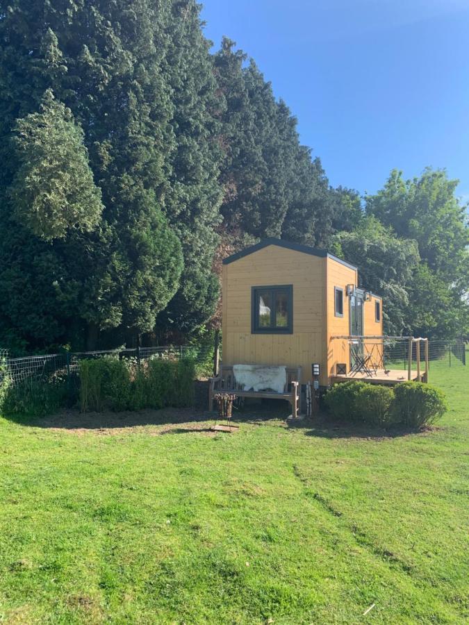 Guest house Joly Tiny House *