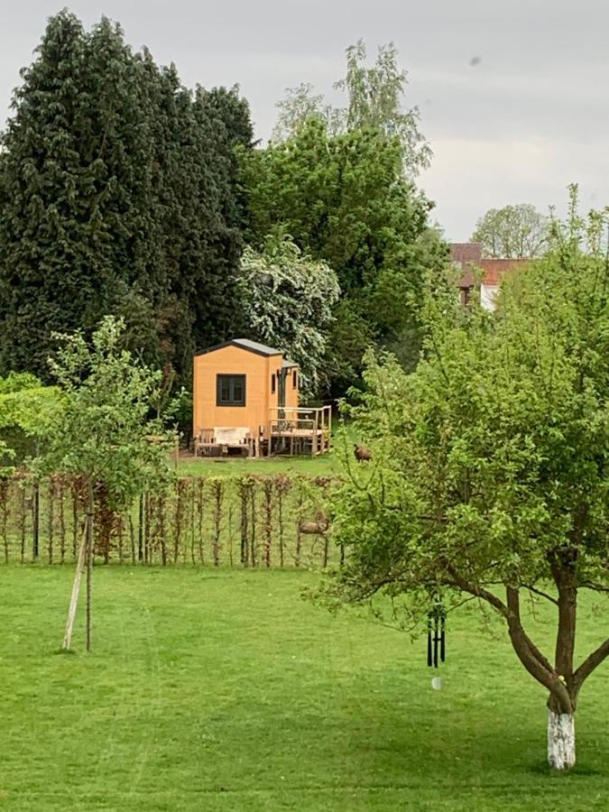 Joly Tiny House Guest house *